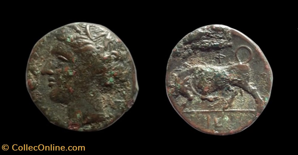 Sicile - Syracuse - Perséphone /Taureau monnaies antiques grecques sicile syracuse persephone taureau
