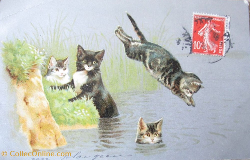 cartes postales sports et loisirs la baignade le plongeon