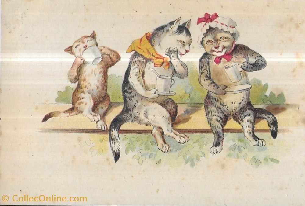 cartes postales chats commeres sur un banc