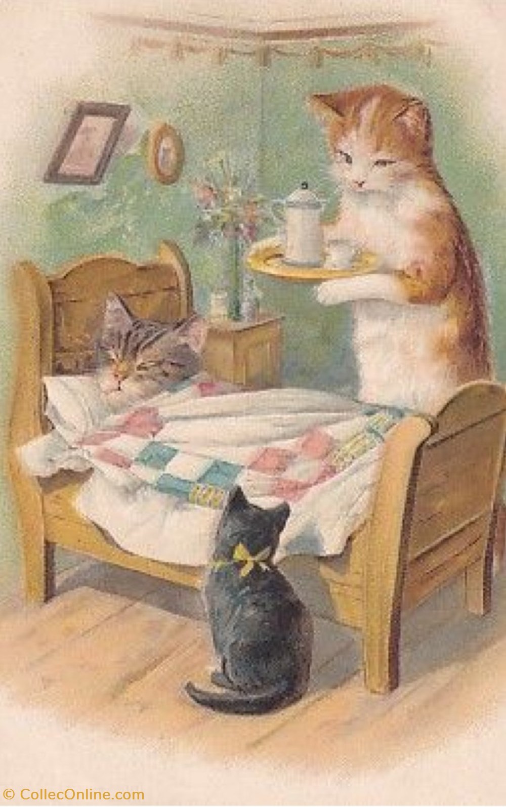 cartes postales chats malade 3