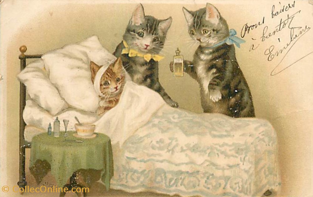 cartes postales chats malade 2
