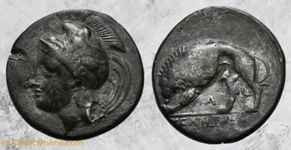 Lucanie - Velia - Lion monnaies antiques grecques lucanie velia lion