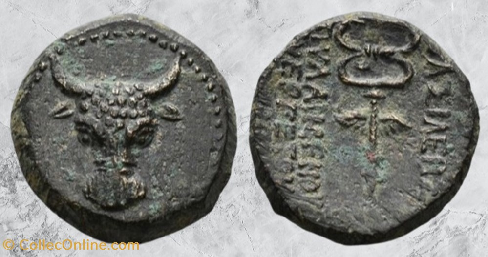 Paphlagonie - Pylamènes - Taureau / caducée monnaies antiques grecques paphlagonie pylamenes taureau caducee