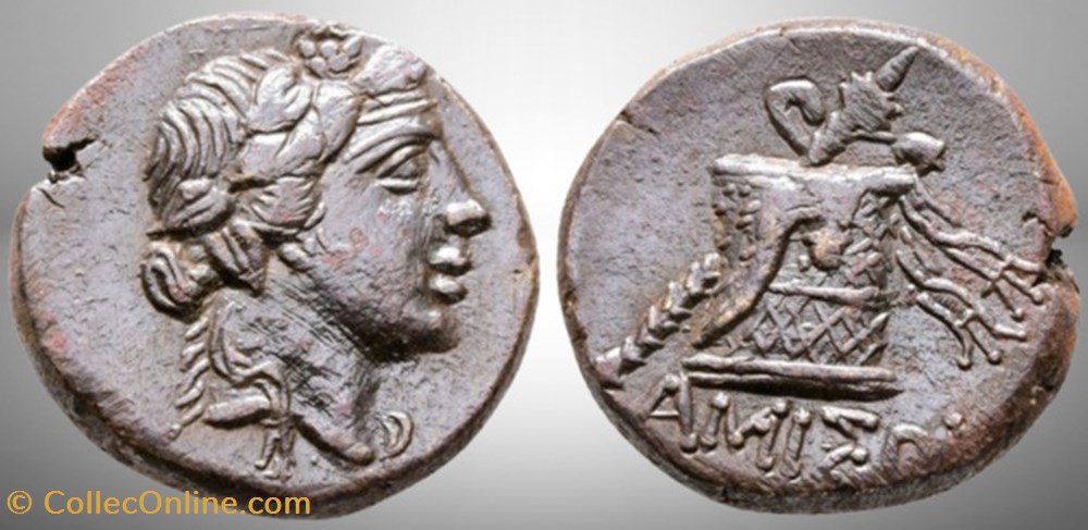 Pontos Amisos - Tête de Dionysos / Ciste monnaies antiques grecques pontos amisos tete de dionysos ciste