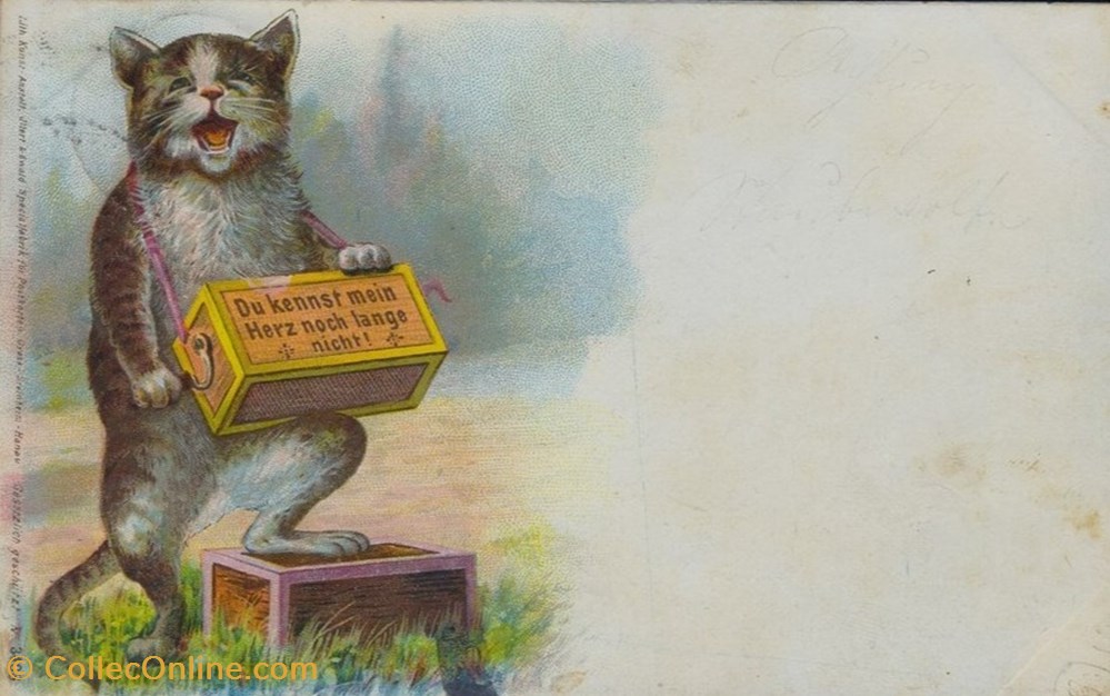 cartes postales musiciens orgue de barbarie 3403 1898