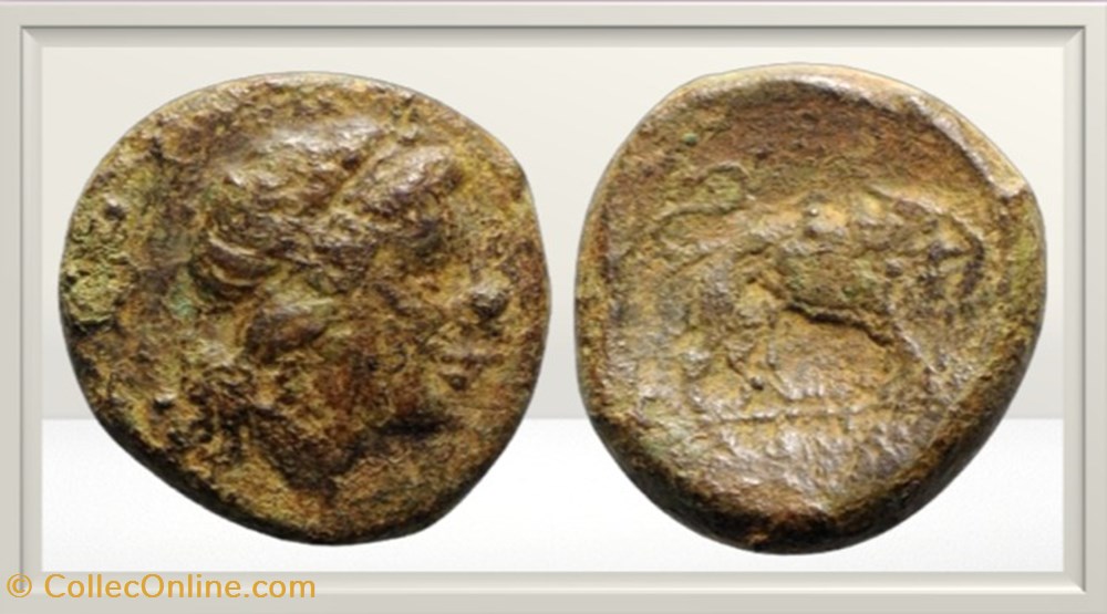monnaies antiques romaines imperiales et republicaines republique romaine anonyme lion