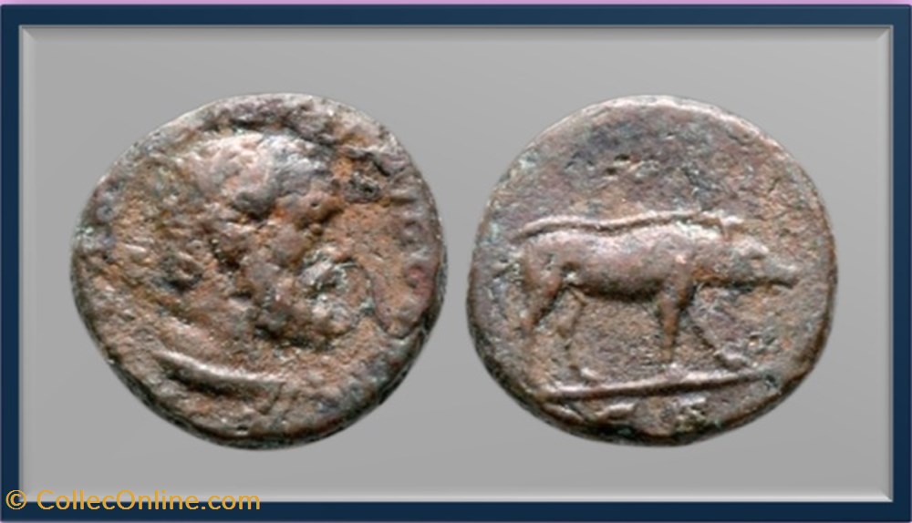 Trajan- Sanglier - quadrans monnaies antiques romaines imperiales et republicaines trajan sanglier quadrans
