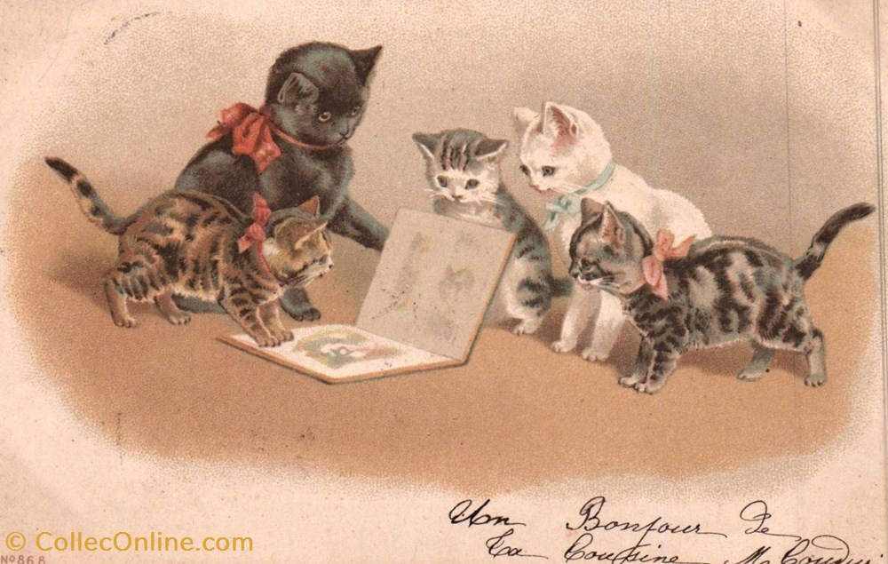 cartes postales autres chats chatons raconte nous une histoire n 868