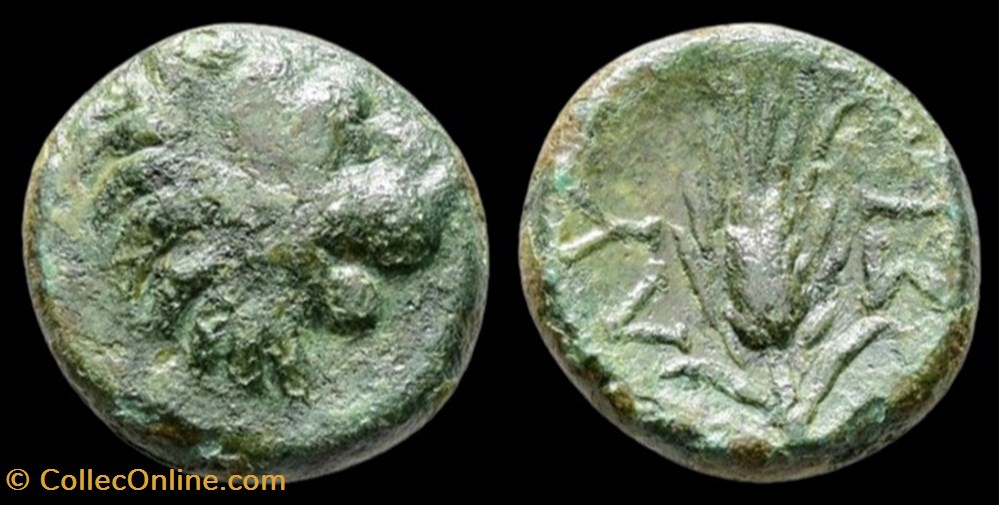 Thrace - Lysimachie - Lion / Epi monnaies antiques grecques thrace lysimachie lion epi