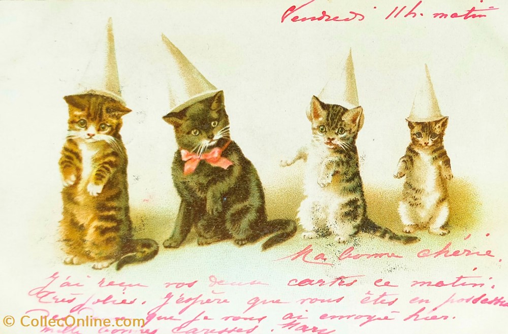 cartes postales chats chapeaux pointus