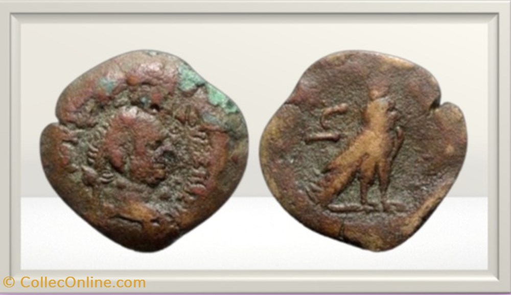 Vespasien - Egype - Alexandre- Faucon - obole monnaies antiques romaines provinciales vespasien egype alexandre faucon obole