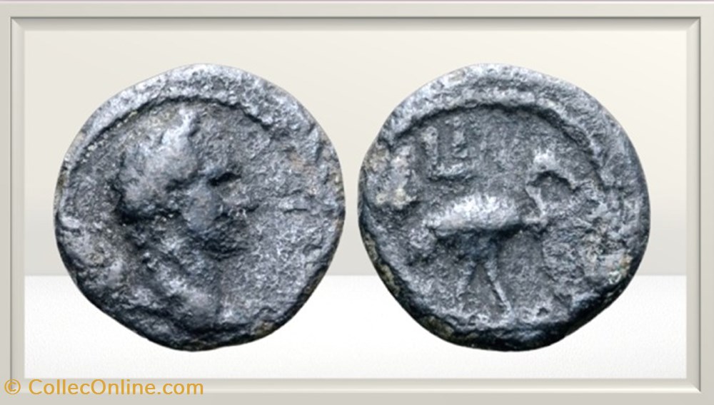 monnaies antiques romaines provinciales domitien egype alexandrie ibis