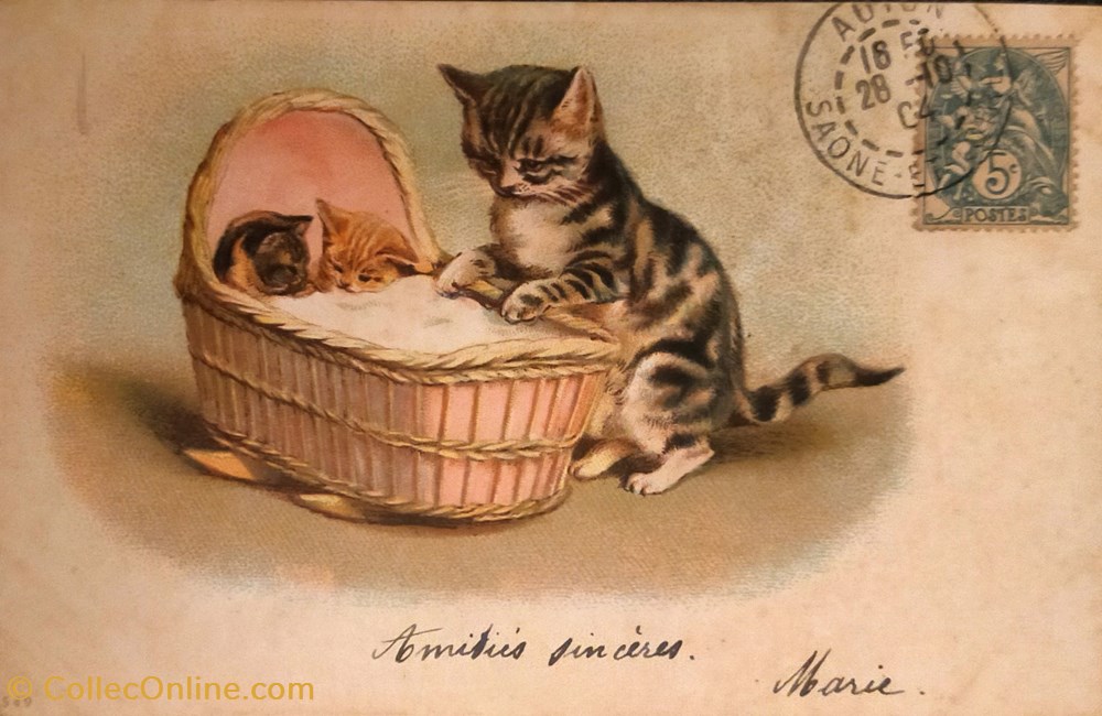 cartes postales chats berceau