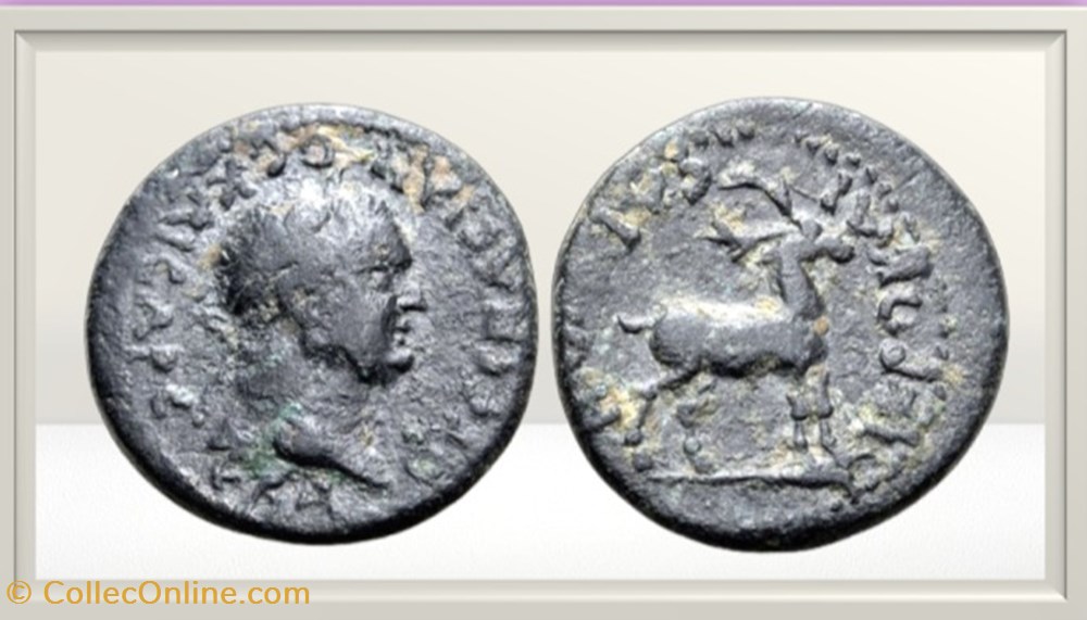 Vespasien - Lydia - Hierocaesarea - Cerf - monnaies antiques romaines provinciales vespasien lydia hierocaesarea cerf