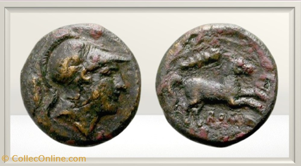 République Romaine - Anonyme - AE Litra cheval massue monnaies antiques romaines imperiales et republicaines republique romaine anonyme ae litra cheval massue
