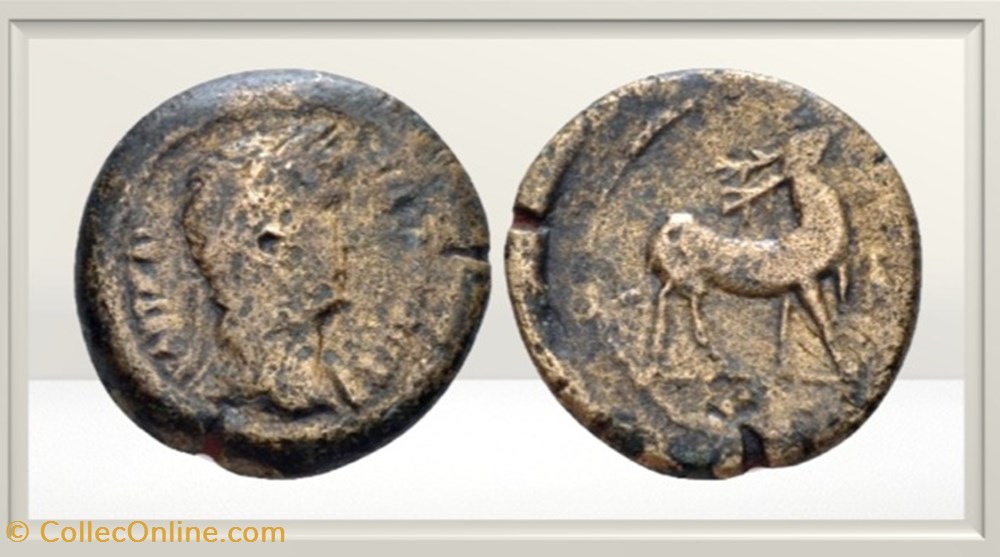 Hadrien - Egypte - Alexandrie - Cerf monnaies antiques romaines provinciales hadrien egypte alexandrie cerf