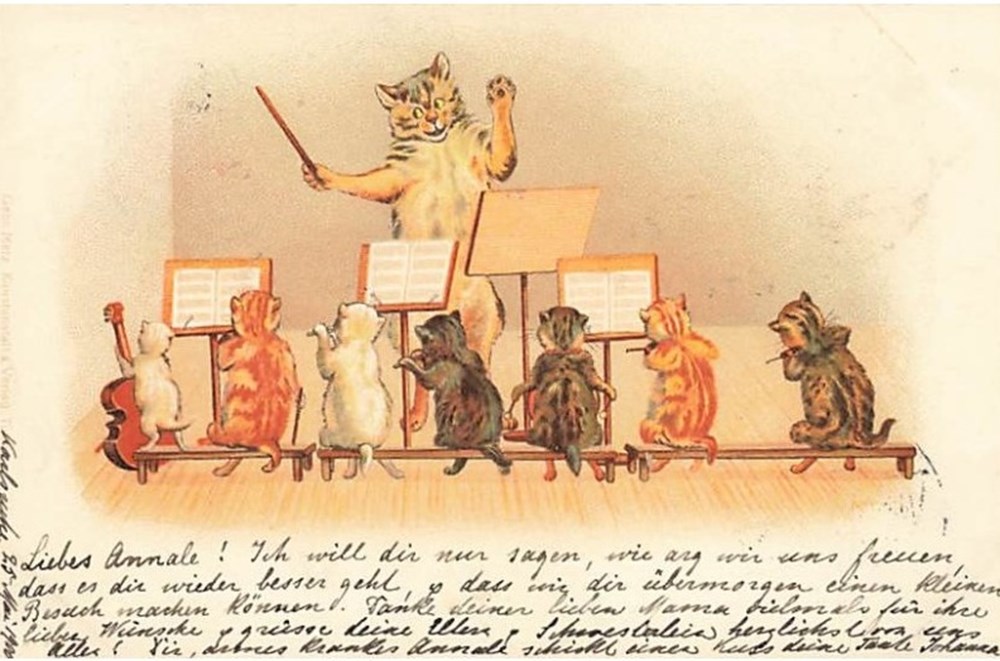 cartes postales chats orchestre