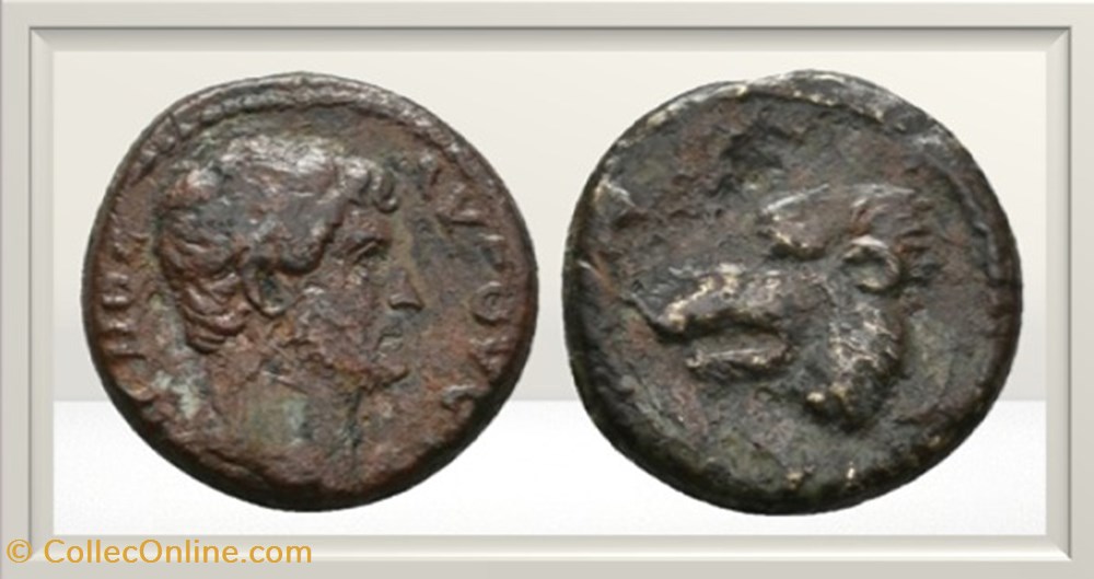 Hadrien - Mysie - Hadrianothera - Ours - RPC III 1629 monnaies antiques romaines provinciales hadrien mysie hadrianothera ours rpc iii 1629
