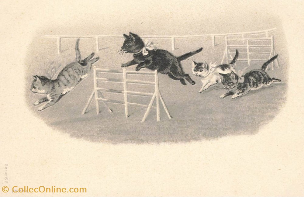 cartes postales chats course le saut serie 68 n 1174