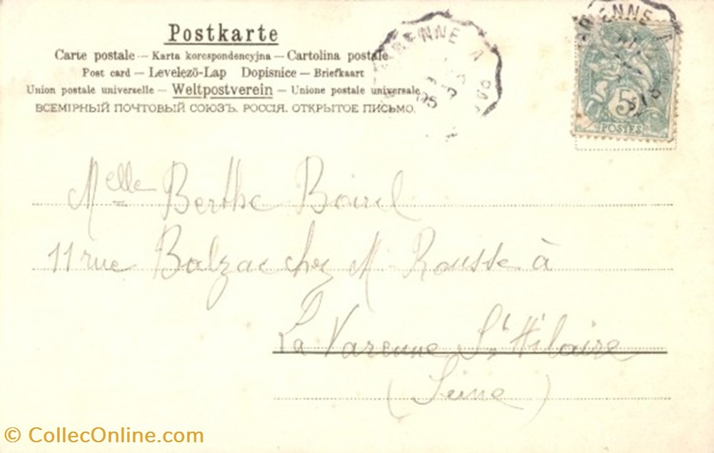 cartes postales chats chatouillis