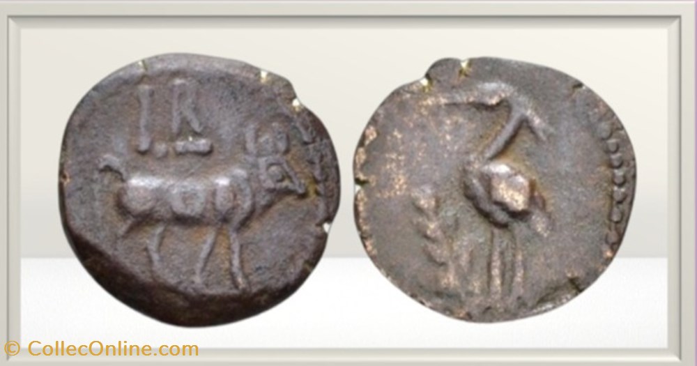 Caligula (époque)- Egypte -Alexandrie - Taureau Apis (héron?) semi autonome monnaies antiques romaines provinciales caligula epoque egypte alexandrie taureau apis heron semi autonome