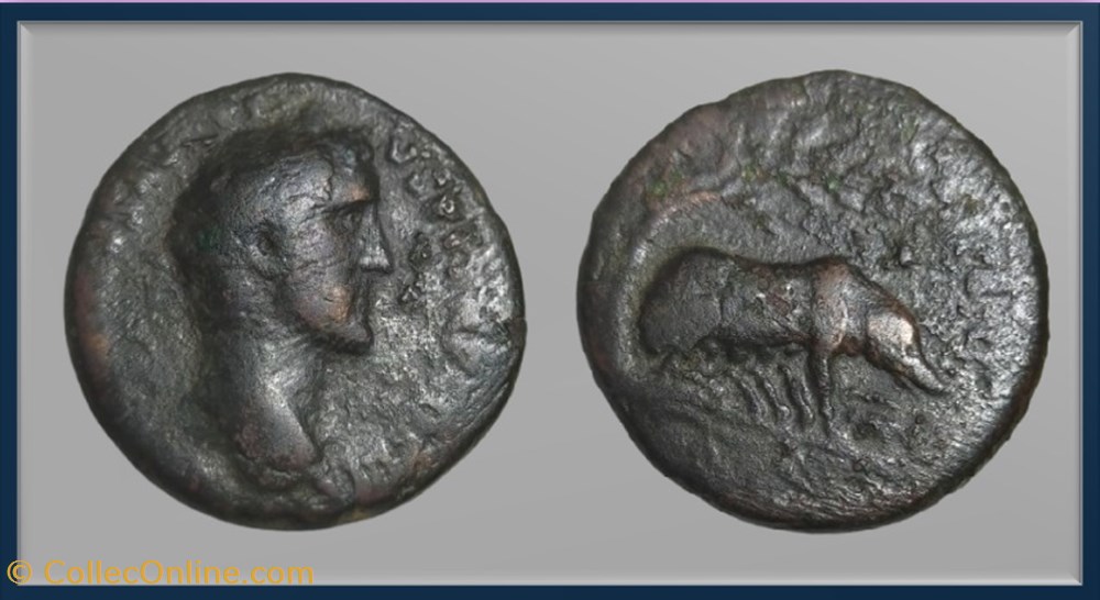 monnaies antiques romaines imperiales et republicaines antonin le pieux truie