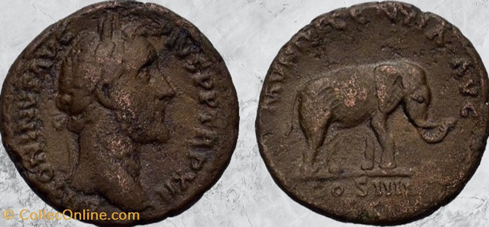 Antonin le Pieux - Eléphant - As monnaies antiques romaines imperiales et republicaines antonin le pieux elephant as