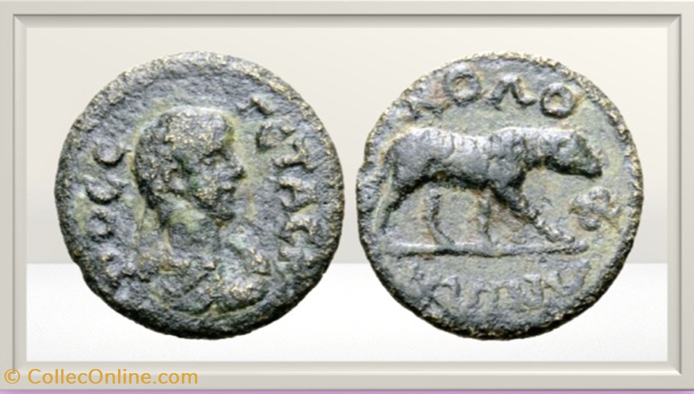 Geta - Ionie - Colophon -Bélier monnaies antiques romaines provinciales geta ionie colophon belier