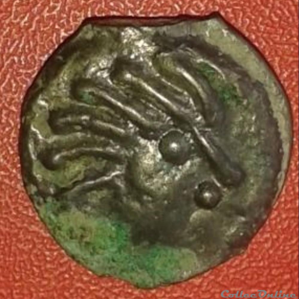 Série 559 DT 2645 Potin à la tête d'indien / sanglier monnaie antique gauloise serie 559 dt 2645 potin a la tete indien sanglier