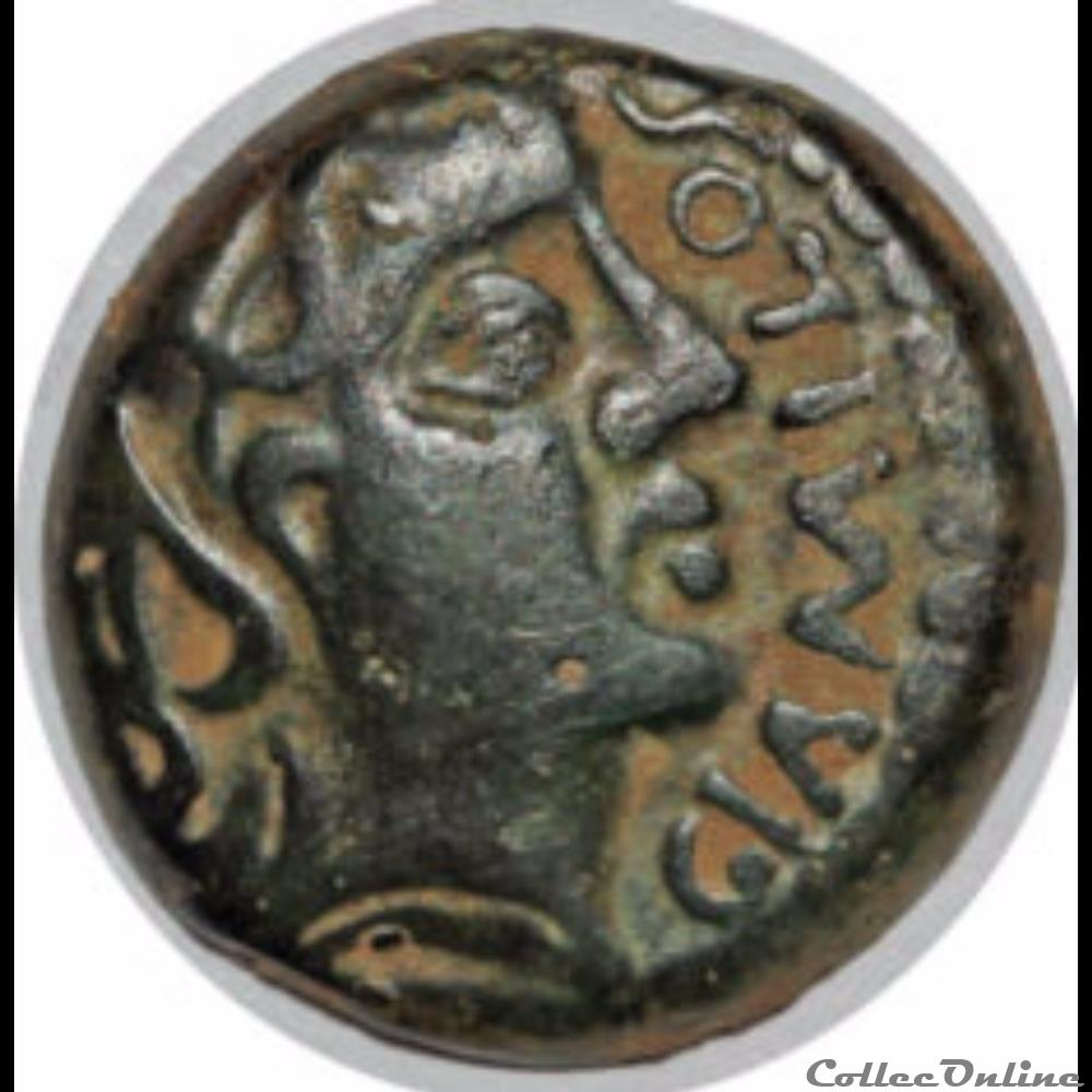 Série 556 DT 2631 Bronze GIAMILOS/SINNV monnaie antique gauloise serie 556 dt 2631 bronze giamilos sinnv