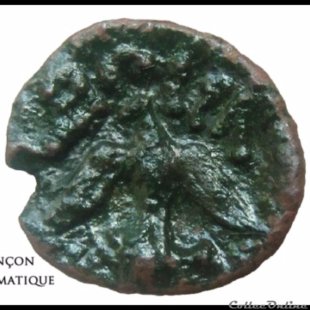 Série 989 DT 3276 Bronze SECISCV à la tête de face monnaie antique gauloise serie 989 dt 3276 bronze seciscv a la tete de face
