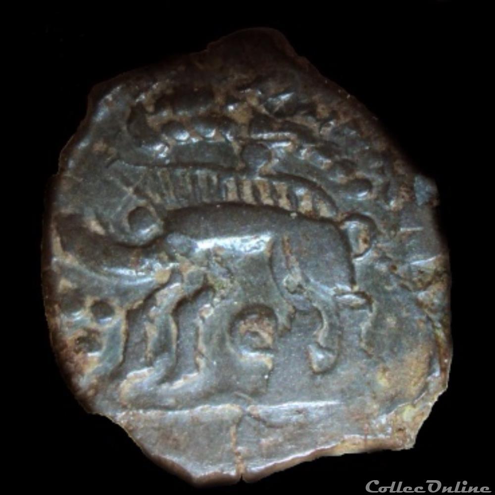 Série 442 DT 2447 bronze au sanglier enseigne monnaie antique gauloise serie 442 dt 2447 bronze au sanglier enseigne