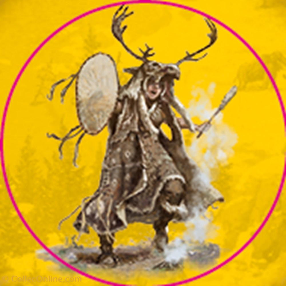dogger-shaman jeux de societe jouets plateau dogger shaman