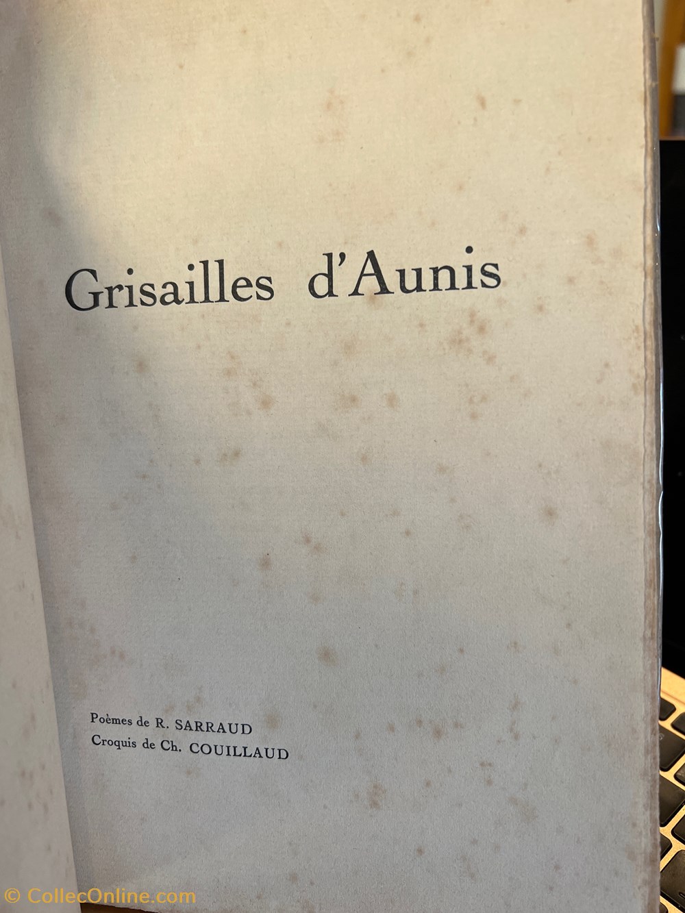Grisailles d'Anis livres bd revues grisailles anis