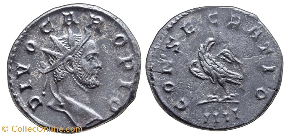 Carus - Lugdunum RIC V.2 29 coins ancient to romans imperial and republican carus lugdunum ric v 2 29
