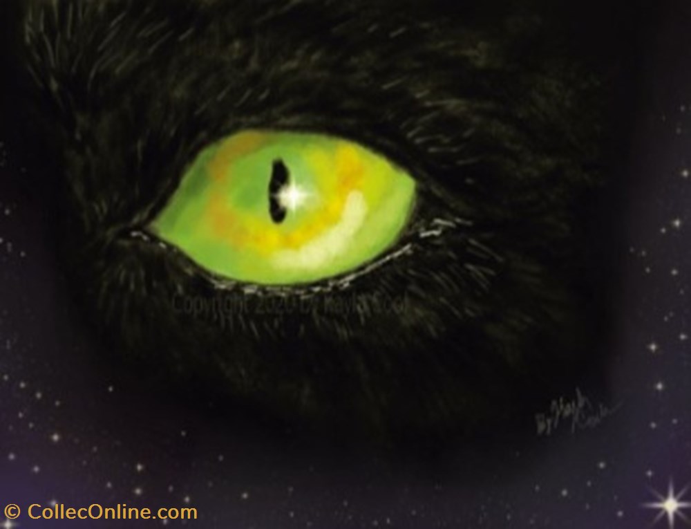 Night Queen by Kayla Cook art antiquities paintings drawings night queen by kayla cook
