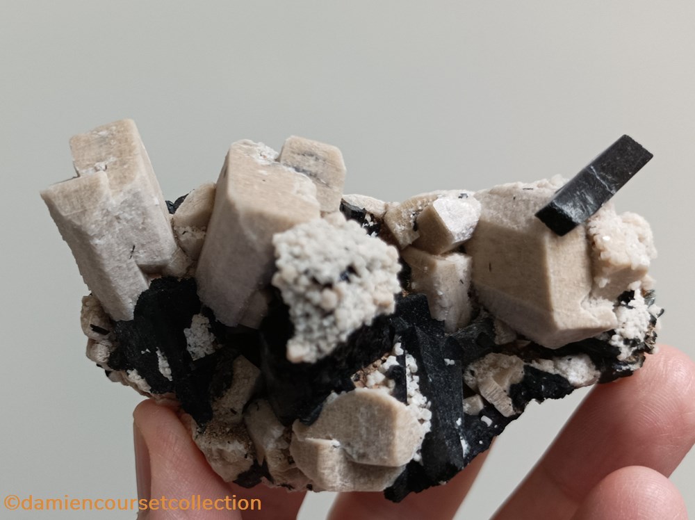 Aegirine sur Orthose maclée 2 mineraux meteorites microcline aegirine sur orthose maclee