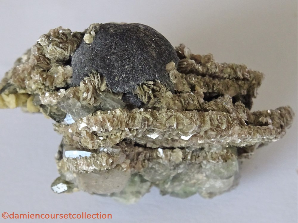 Fluorite botryoïdale de Panasqueira mineraux meteorites fluorite botryoidale de panasqueira