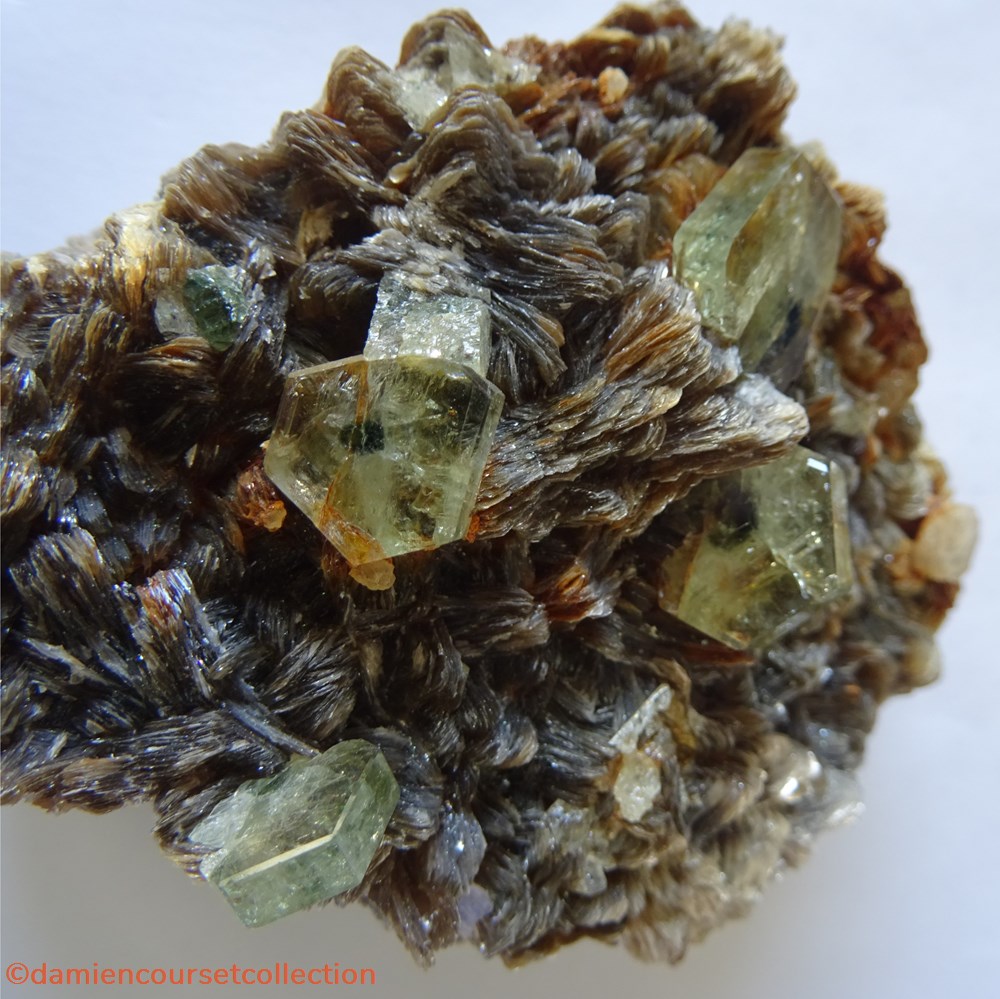 Apatite "Black Eyed Peas" mineraux meteorites fluorapatite apatite black eyed peas