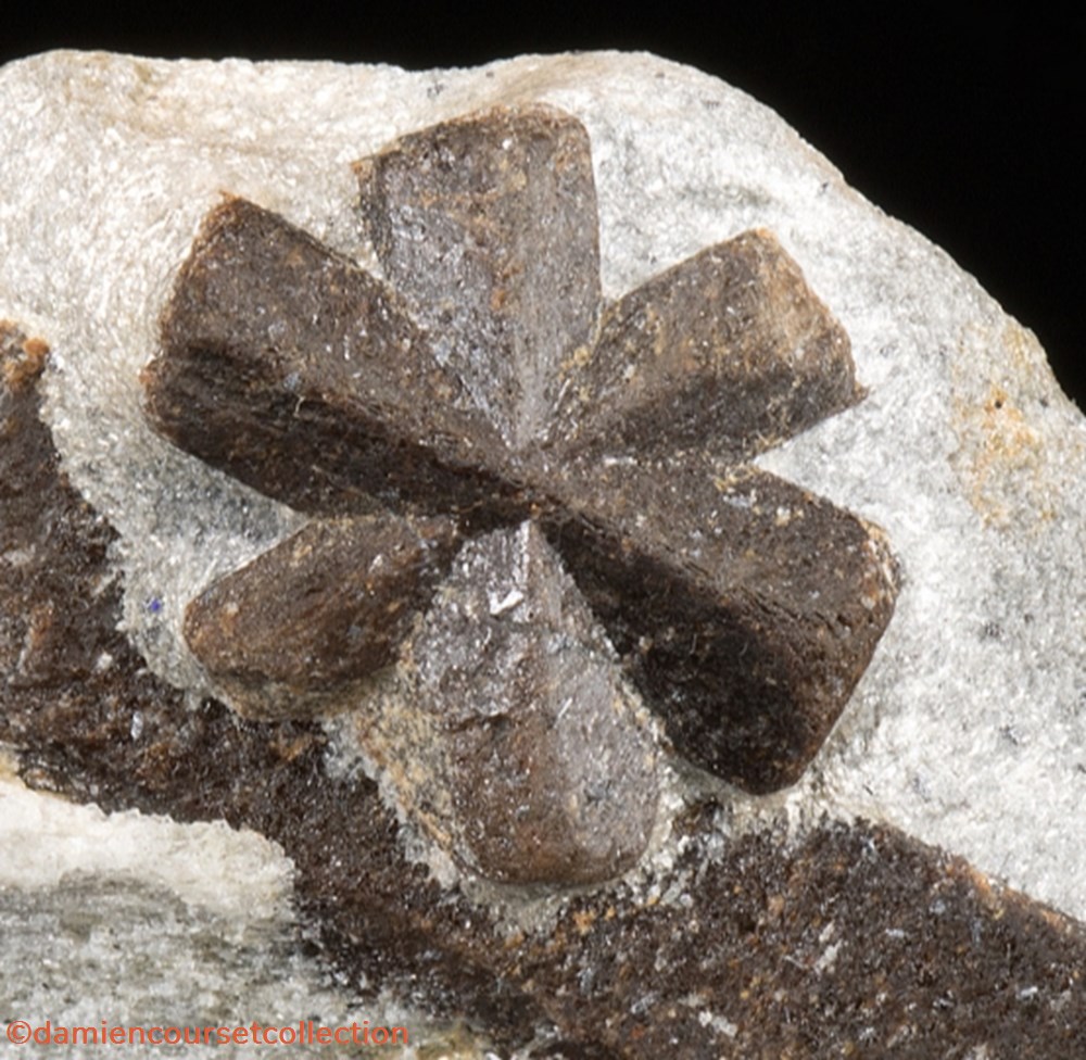 Staurolite (macle multiple) 2 mineraux meteorites staurolite macle multiple