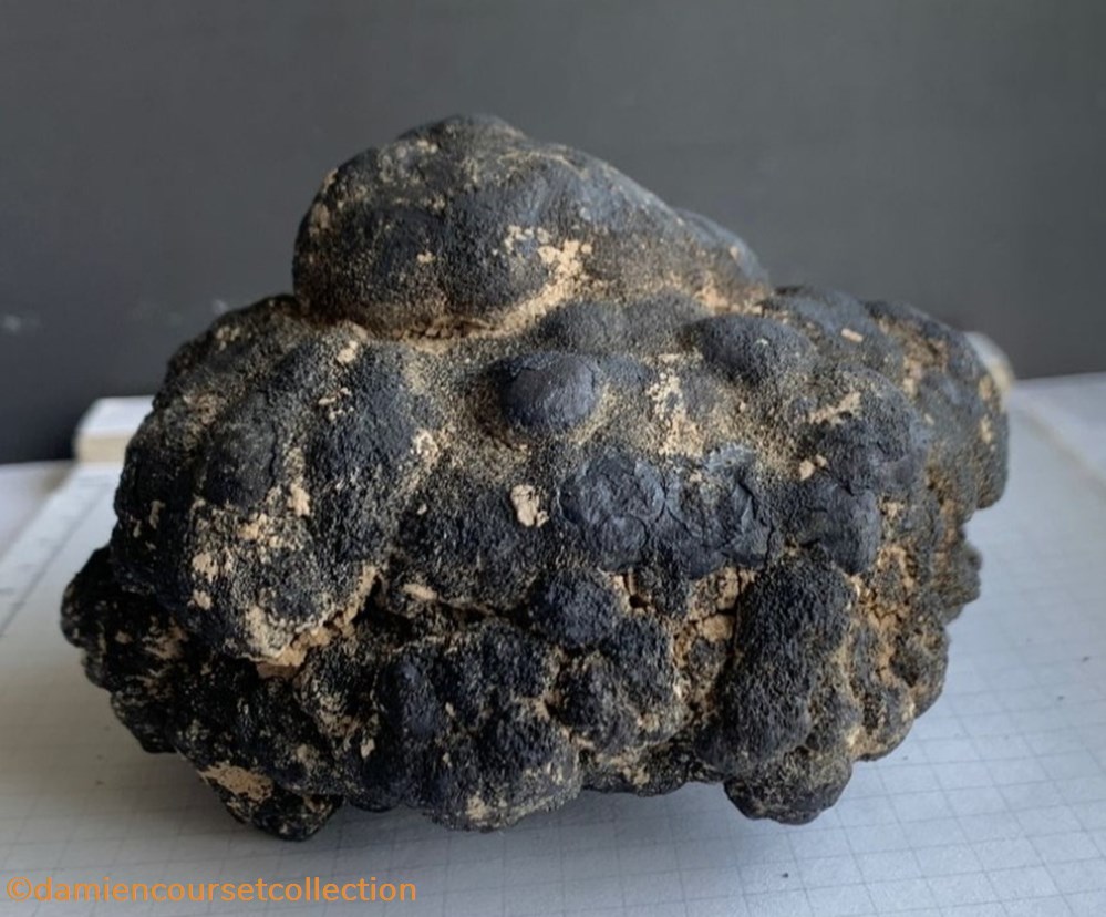 Nodule polymetallique mineraux meteorites nodule polymetallique