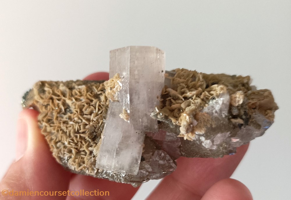 Apatites sur quartz et siderite 2 mineraux meteorites apatites sur quartz et siderite