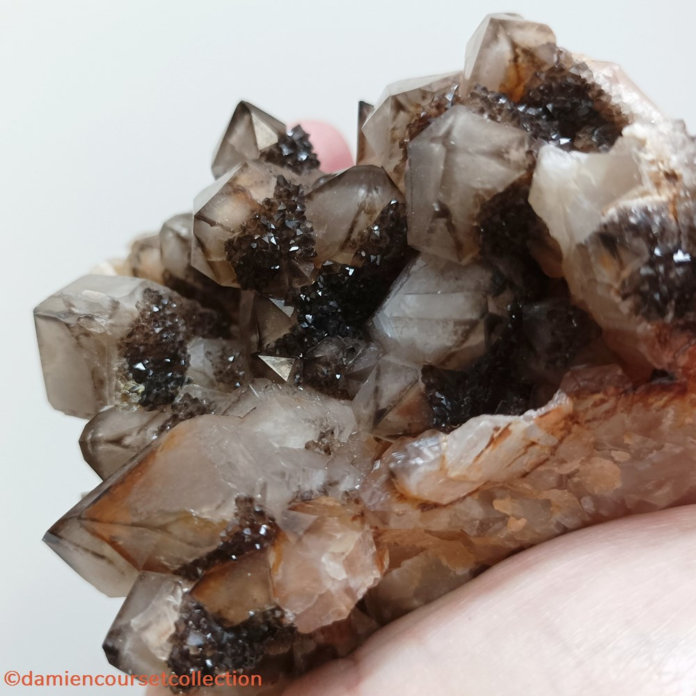 Quartz, Ploemeur. France 2 mineraux meteorites quartz ploemeur france