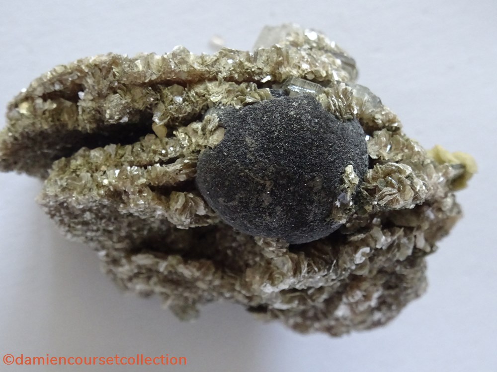 Fluorite botryoïdale de Panasqueira mineraux meteorites fluorite botryoidale de panasqueira