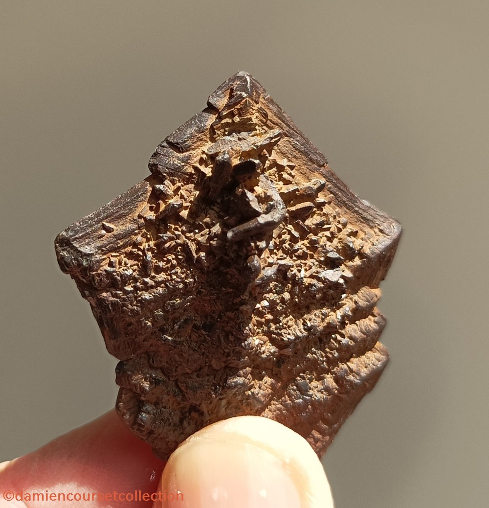 mineraux meteorites 2 marcasites cap blanc nez 62