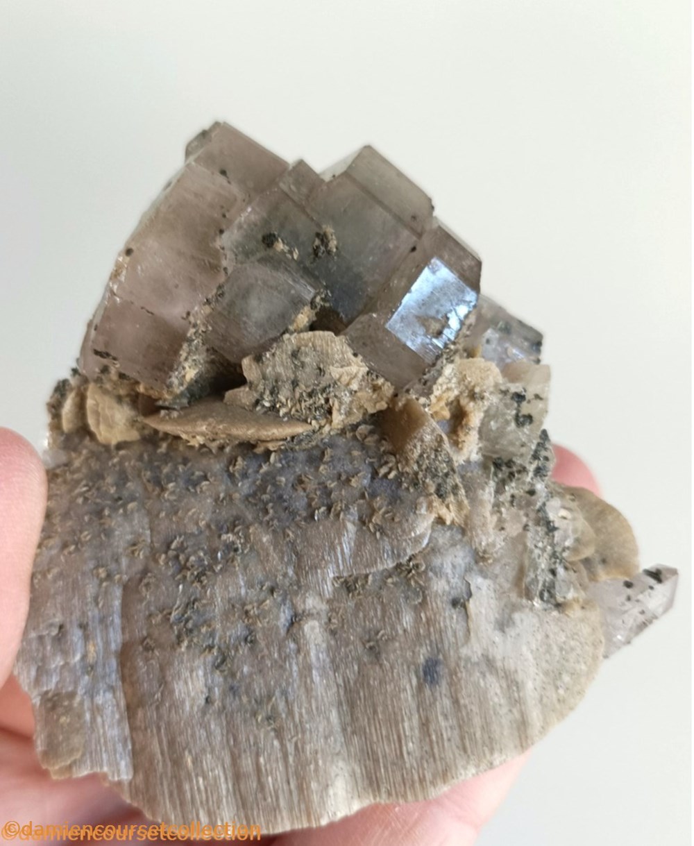 Apatites sur siderite 3 mineraux meteorites apatites sur siderite