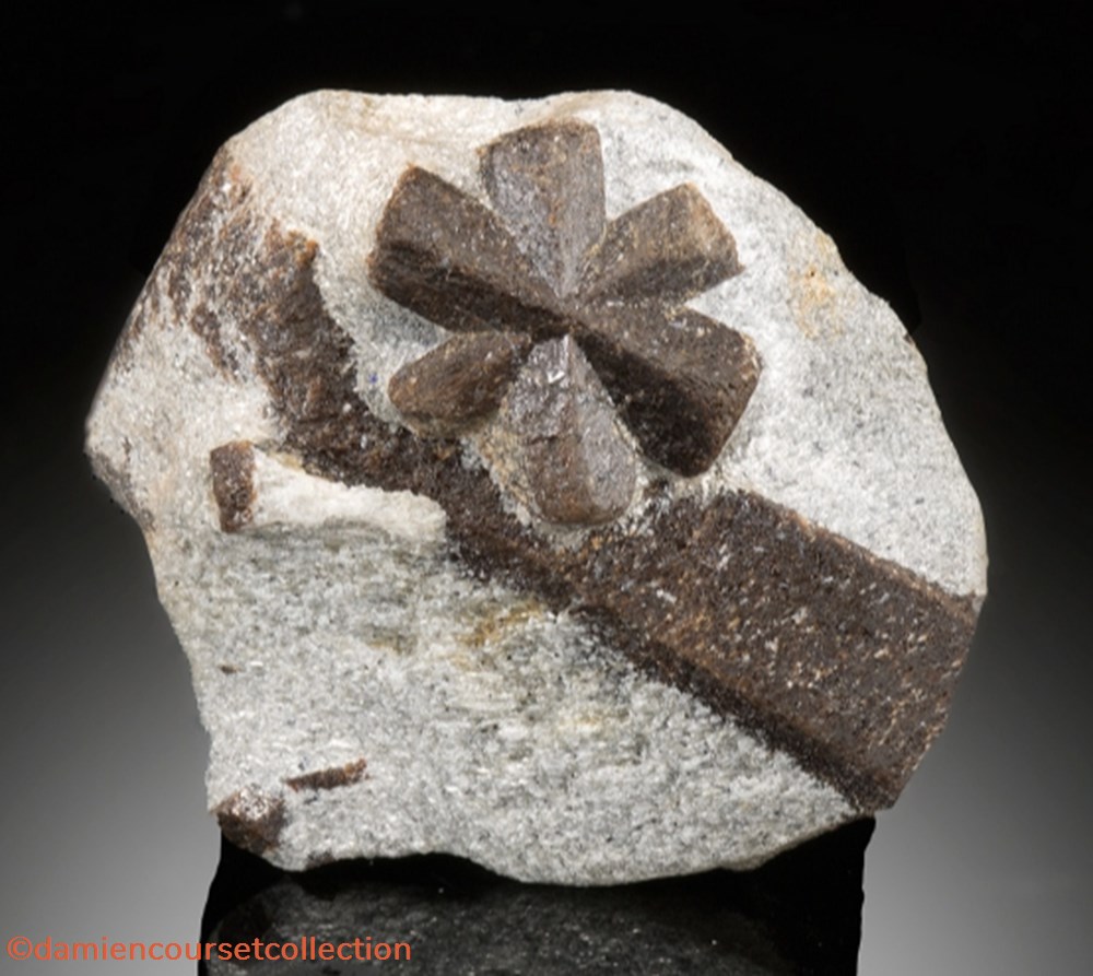 Staurolite (macle multiple) mineraux meteorites staurolite macle multiple
