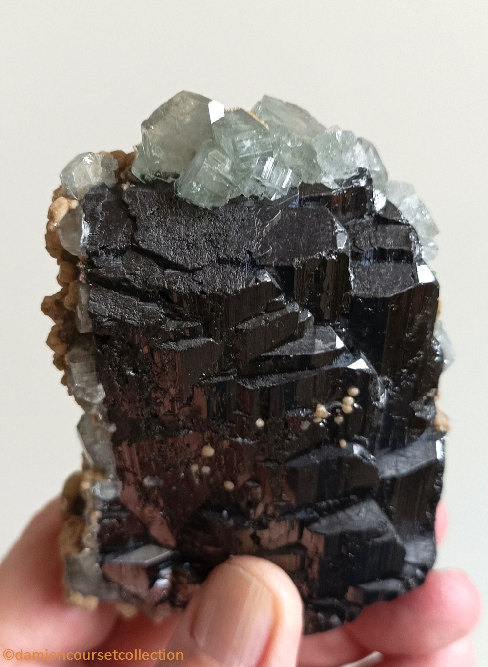 mineraux meteorites ferberite apatites et siderite
