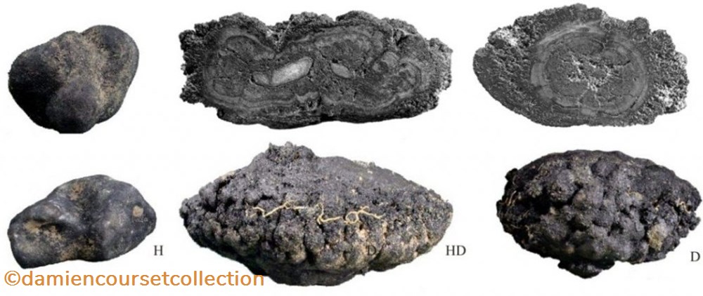 Nodule polymetallique 5 mineraux meteorites nodule polymetallique