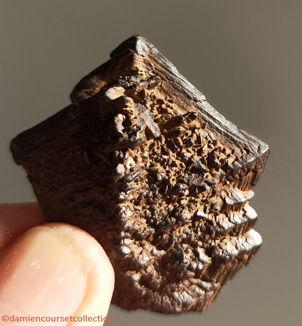 mineraux meteorites 2 marcasites cap blanc nez 62